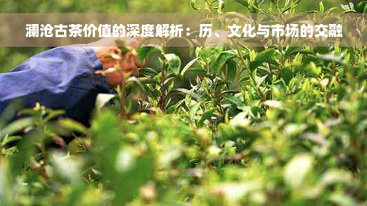 澜沧古茶价值的深度解析：历、文化与市场的交融