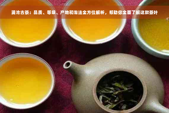 澜沧古茶：品质、等级、产地和泡法全方位解析，帮助你全面了解这款茶叶