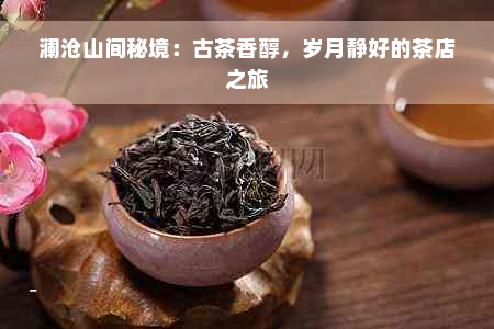 澜沧山间秘境：古茶香醇，岁月静好的茶店之旅