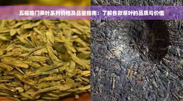 五福临门茶叶系列价格及品鉴指南：了解各款茶叶的品质与价值