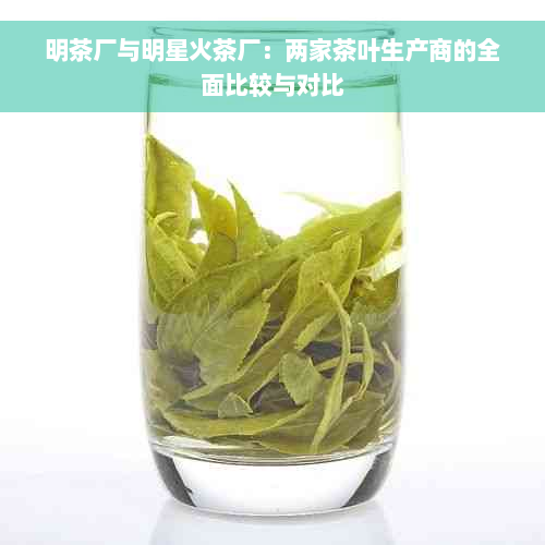 明茶厂与明星火茶厂：两家茶叶生产商的全面比较与对比