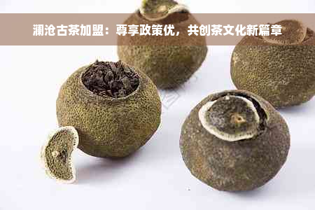 澜沧古茶加盟：尊享政策优，共创茶文化新篇章