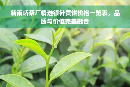 新南峤茶厂精选银针贡饼价格一览表，品质与价值完美融合