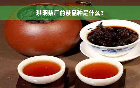 琪明茶厂的茶品种是什么？