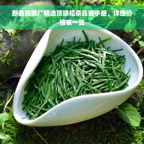 新益阳茶厂精选顶级福茶品鉴手册，详细价格表一览