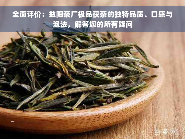 全面评价：益阳茶厂极品茯茶的独特品质、口感与泡法，解答您的所有疑问