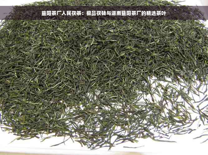 益阳茶厂人民茯茶：极品茯砖与湖南益阳茶厂的精选茶叶