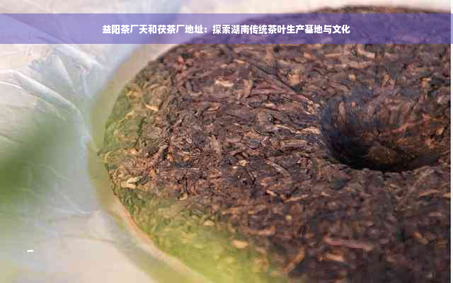 益阳茶厂天和茯茶厂地址：探索湖南传统茶叶生产基地与文化