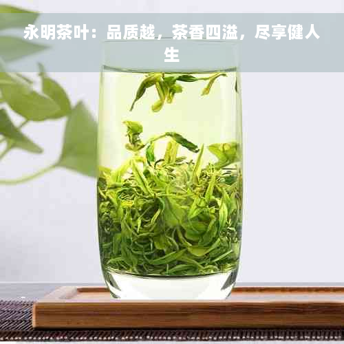 永明茶叶：品质越，茶香四溢，尽享健人生