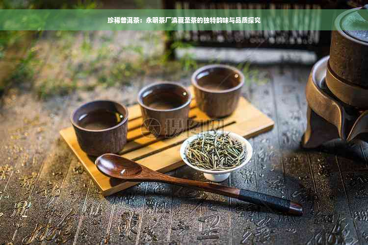 珍稀普洱茶：永明茶厂滇藏圣茶的独特韵味与品质探究