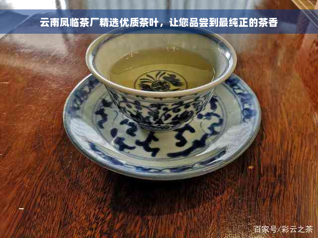 云南凤临茶厂精选优质茶叶，让您品尝到最纯正的茶香