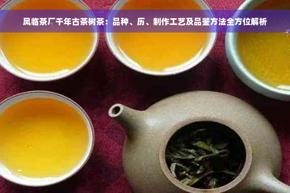 凤临茶厂千年古茶树茶：品种、历、制作工艺及品鉴方法全方位解析