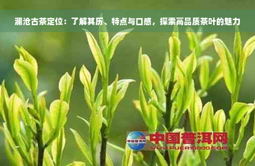 澜沧古茶定位：了解其历、特点与口感，探索高品质茶叶的魅力