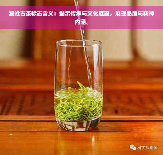 澜沧古茶标志含义：揭示传承与文化底蕴，展现品质与精神内涵。