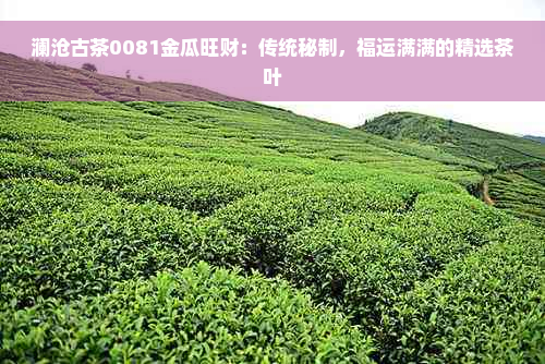 澜沧古茶0081金瓜旺财：传统秘制，福运满满的精选茶叶