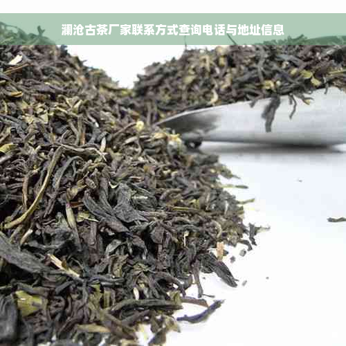 澜沧古茶厂家联系方式查询电话与地址信息