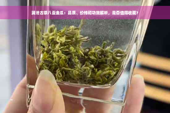 澜沧古茶八壹金瓜：品质、价格和功效解析，是否值得收藏？