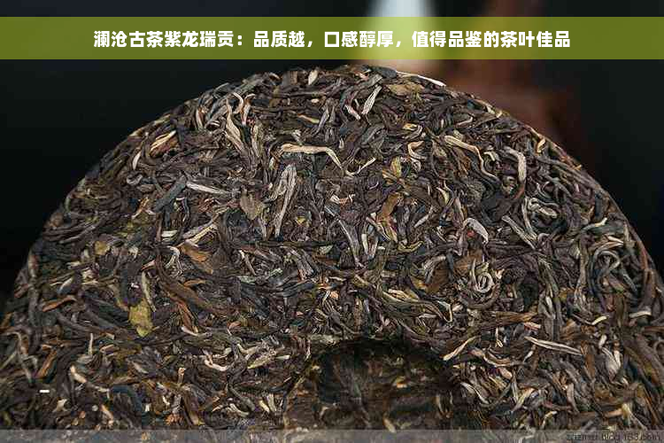 澜沧古茶紫龙瑞贡：品质越，口感醇厚，值得品鉴的茶叶佳品