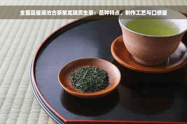 全面品鉴澜沧古茶紫龙瑞贡生茶：品种特点、制作工艺与口感鉴