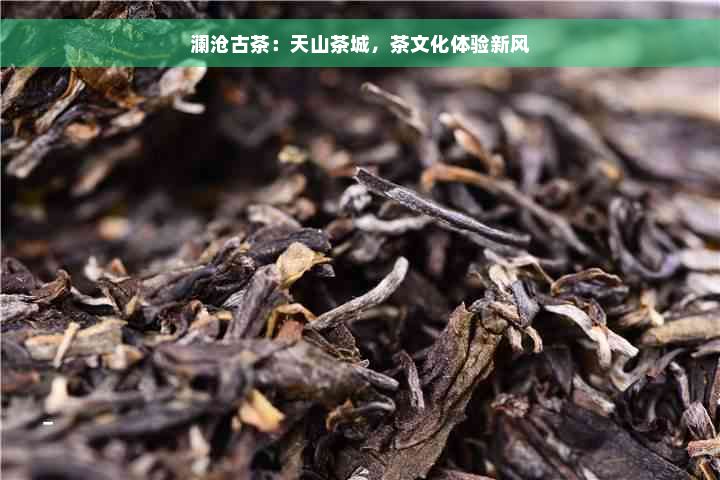 澜沧古茶：天山茶城，茶文化体验新风