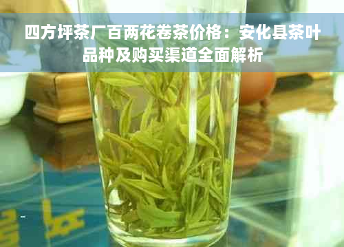 四方坪茶厂百两花卷茶价格：安化县茶叶品种及购买渠道全面解析