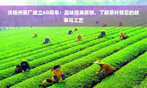 庆梧州茶厂成立60周年：品味经典茶饼，了解茶叶背后的故事与工艺