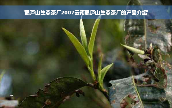 '思芦山生态茶厂2007云南思庐山生态茶厂的产品介绍'