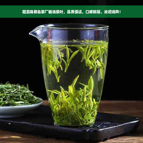 阳洞庭君岛茶厂精选茶叶，品质保证，口感醇厚，欢迎选购！