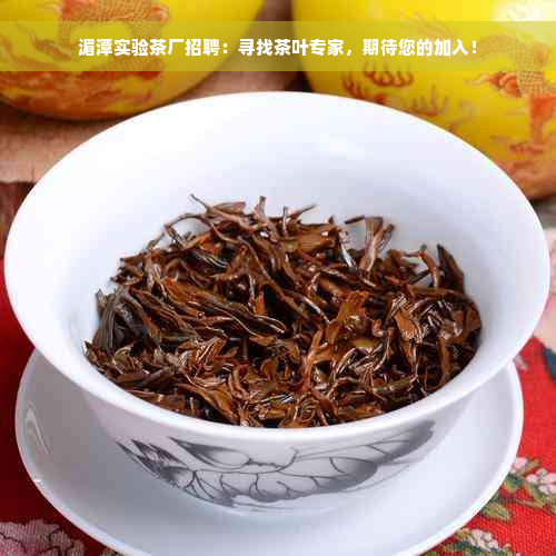 湄潭实验茶厂招聘：寻找茶叶专家，期待您的加入！