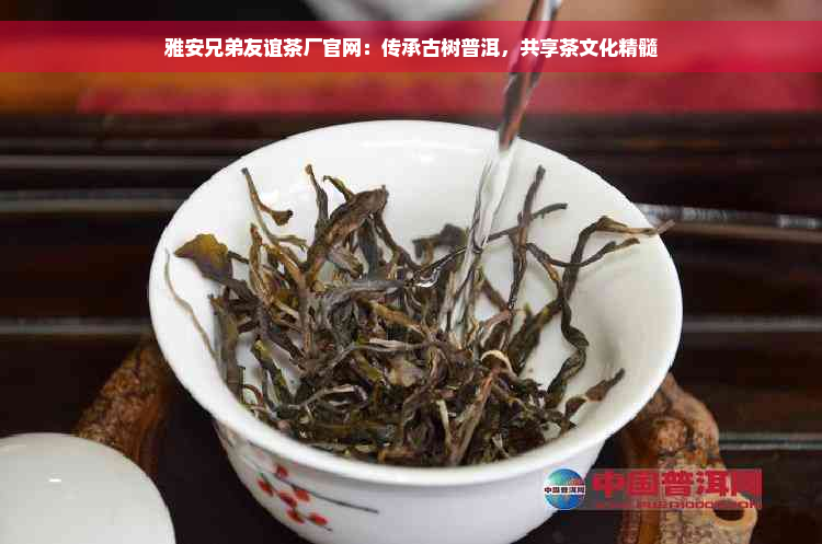 雅安兄弟友谊茶厂官网：传承古树普洱，共享茶文化精髓