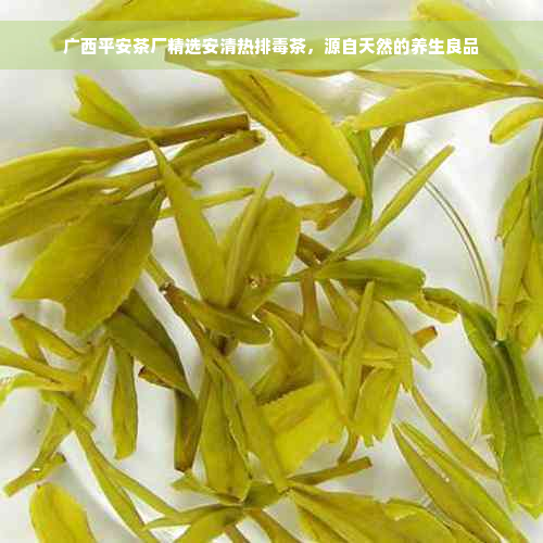 广西平安茶厂精选安清热排毒茶，源自天然的养生良品