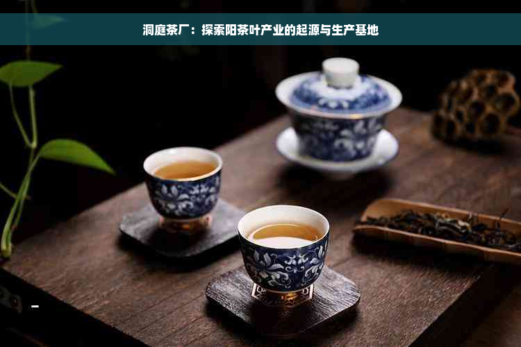 洞庭茶厂：探索阳茶叶产业的起源与生产基地