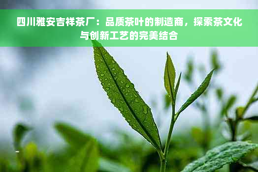 四川雅安吉祥茶厂：品质茶叶的制造商，探索茶文化与创新工艺的完美结合