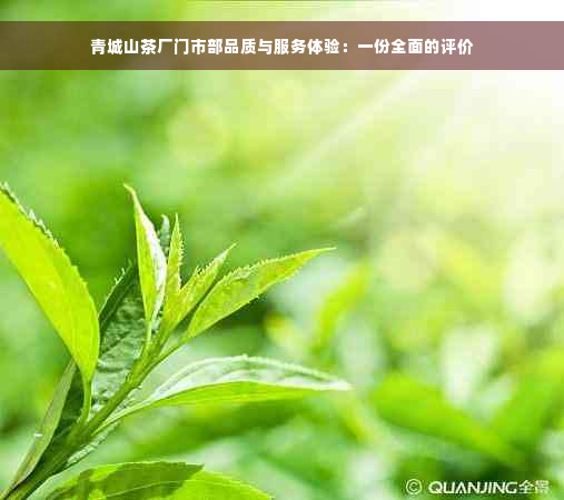 青城山茶厂门市部品质与服务体验：一份全面的评价