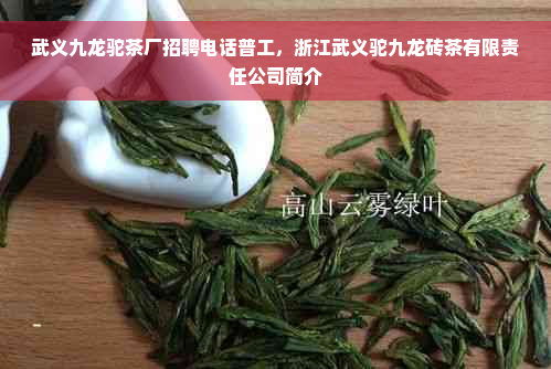 武义九龙驼茶厂招聘电话普工，浙江武义驼九龙砖茶有限责任公司简介