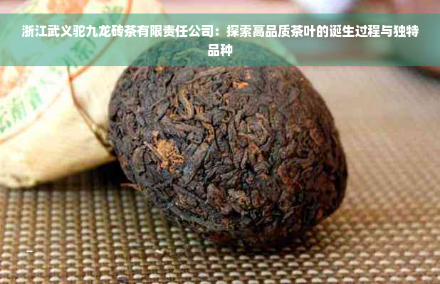 浙江武义驼九龙砖茶有限责任公司：探索高品质茶叶的诞生过程与独特品种