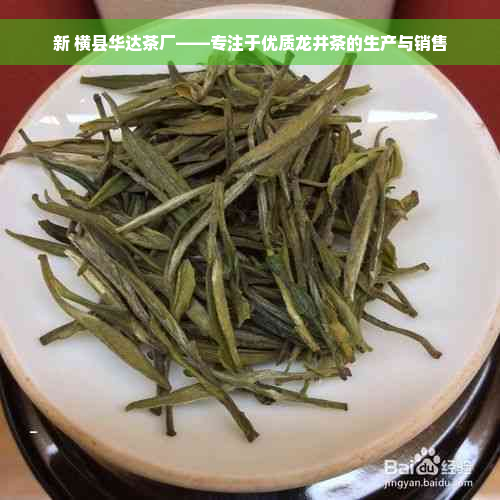 新 横县华达茶厂——专注于优质龙井茶的生产与销售