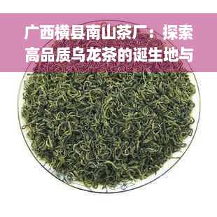 广西横县南山茶厂：探索高品质乌龙茶的诞生地与制作过程