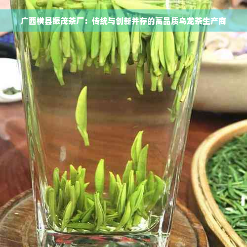 广西横县振茂茶厂：传统与创新并存的高品质乌龙茶生产商