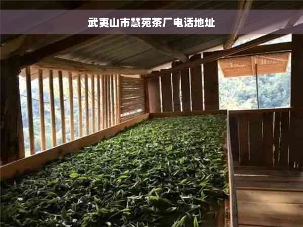 武夷山市慧苑茶厂电话地址