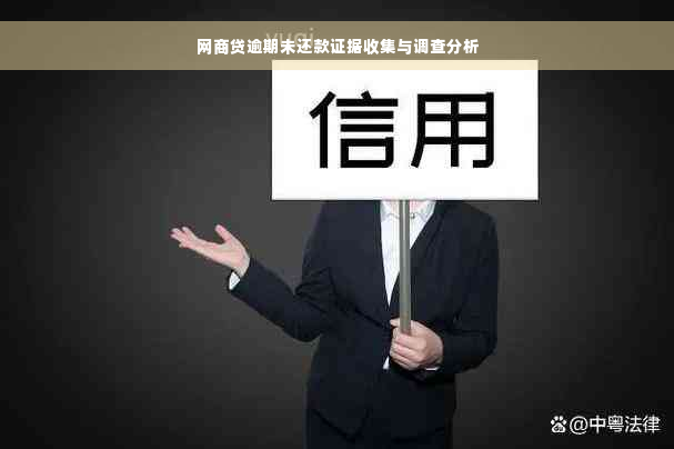 网商贷逾期未还款证据收集与调查分析