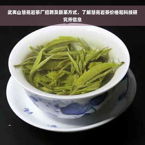 武夷山慧苑岩茶厂招聘及联系方式，了解慧苑岩茶价格和科技研究所信息