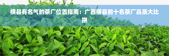 横县有名气的茶厂位置指南：广西横县前十名茶厂品质大比拼