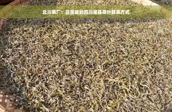 北川茶厂：品质越的四川灌县茶叶联系方式