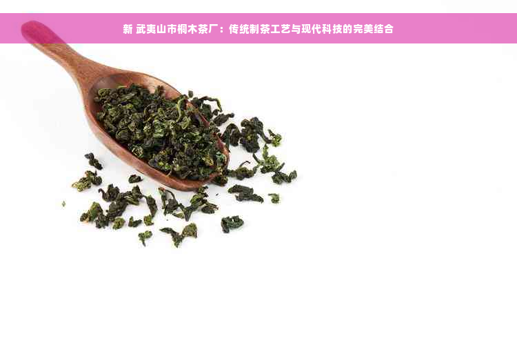 新 武夷山市桐木茶厂：传统制茶工艺与现代科技的完美结合