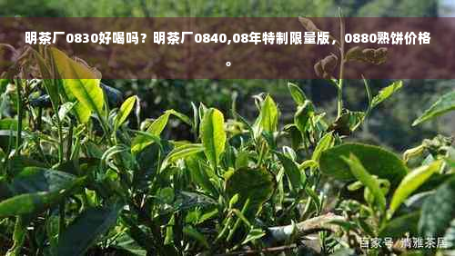 明茶厂0830好喝吗？明茶厂0840,08年特制限量版，0880熟饼价格。