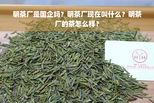 明茶厂是国企吗？明茶厂现在叫什么？明茶厂的茶怎么样？