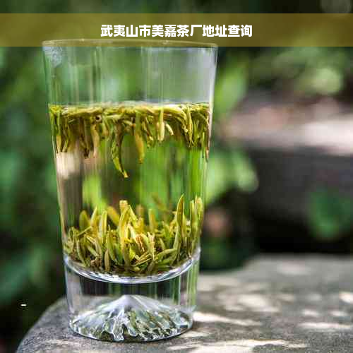 武夷山市美嘉茶厂地址查询