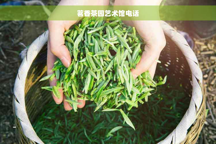 茗香茶园艺术馆电话