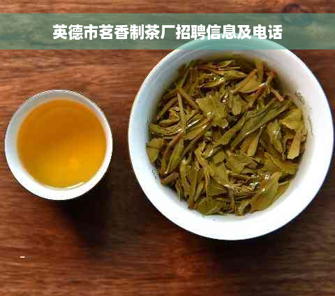 英德市茗香制茶厂招聘信息及电话